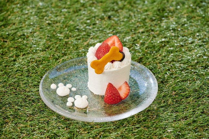 わんちゃん用ケーキ