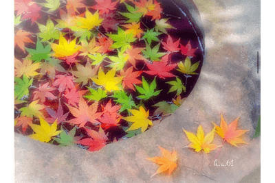 iS2okxEYDcV3YrrnI3a5.png?w=940&h=940