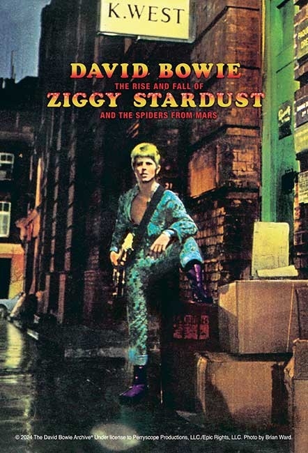 120-017:ZIGGY STARDUST(ジギー・スターダスト)