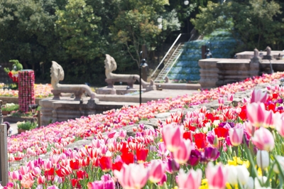 iSlcF2S244TO2S1534KW.jpg?w=940&h=940