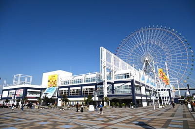 iTbo6LcrWqXjO6AhEfZU.jpg?w=940&h=940