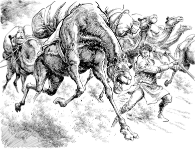 iUZKRtdyXHeCzp0zKLRa.jpg?w=940&h=940