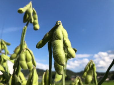 iW4rGAZutOBcYL2mGjxl.jpeg?w=940&h=940