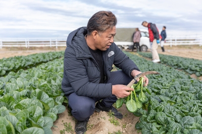 iWPjNnuHLzpTF7HctUwX.jpg?w=940&h=940