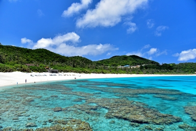 iXR4rIDjEsK0hZzNKKkW.jpg?w=940&h=940