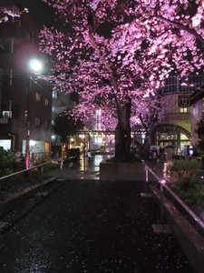 iXsAzX9VP3VXSyiLhqct.jpg?w=940&h=940