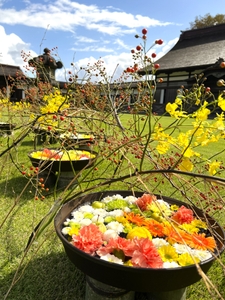 iarNAQdv8gsGiWhydEZj.jpg?w=940&h=940