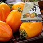 ibPEhAnkM9MpdHhYwxT6.jpg?w=940&h=940