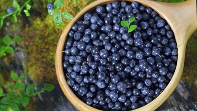 icvgDdHGxNGsYjtCak52.jpg?w=940&h=940