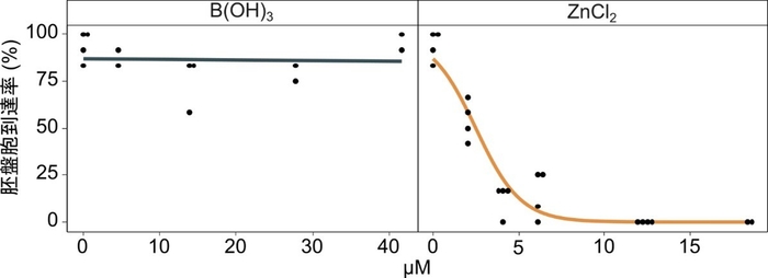 図2 マウス胚に対する亜鉛の影響