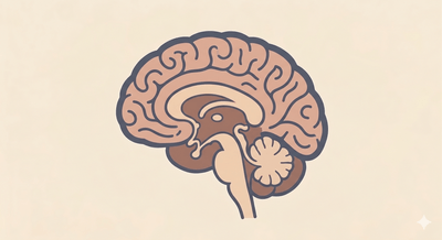 id3tV0SFNwTUddzdnp4b.png?w=940&h=940