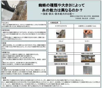 idyBc23f7I8jT4REehrR.png?w=940&h=940