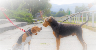 ig7qaNIg0GZ1sm76IK0o.jpeg?w=940&h=940