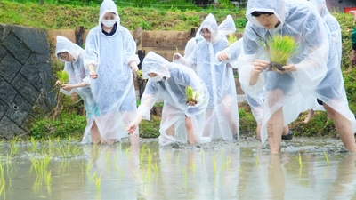 ignCcT2Bm41vjoaxnAy0.jpg?w=940&h=940