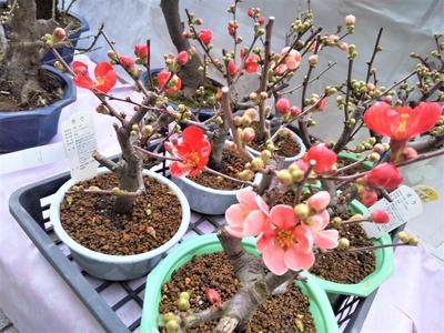 ihsdle21ithHPzmI0QPC.jpg?w=940&h=940