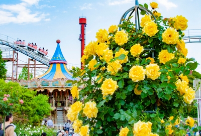 ijIdZhumWZoSamXrCEVy.jpg?w=940&h=940