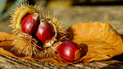 ijVugHxF6zfeaXKGjHBZ.jpg?w=940&h=940