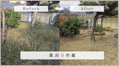 il4N90AAIbt1tM9XhLCO.png?w=940&h=940