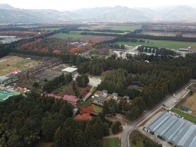 ilAbEKJiC7pUU5sBNOpD.jpg?w=940&h=940