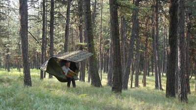 intK8ii9Xh5iwXvejUev.jpg?w=940&h=940