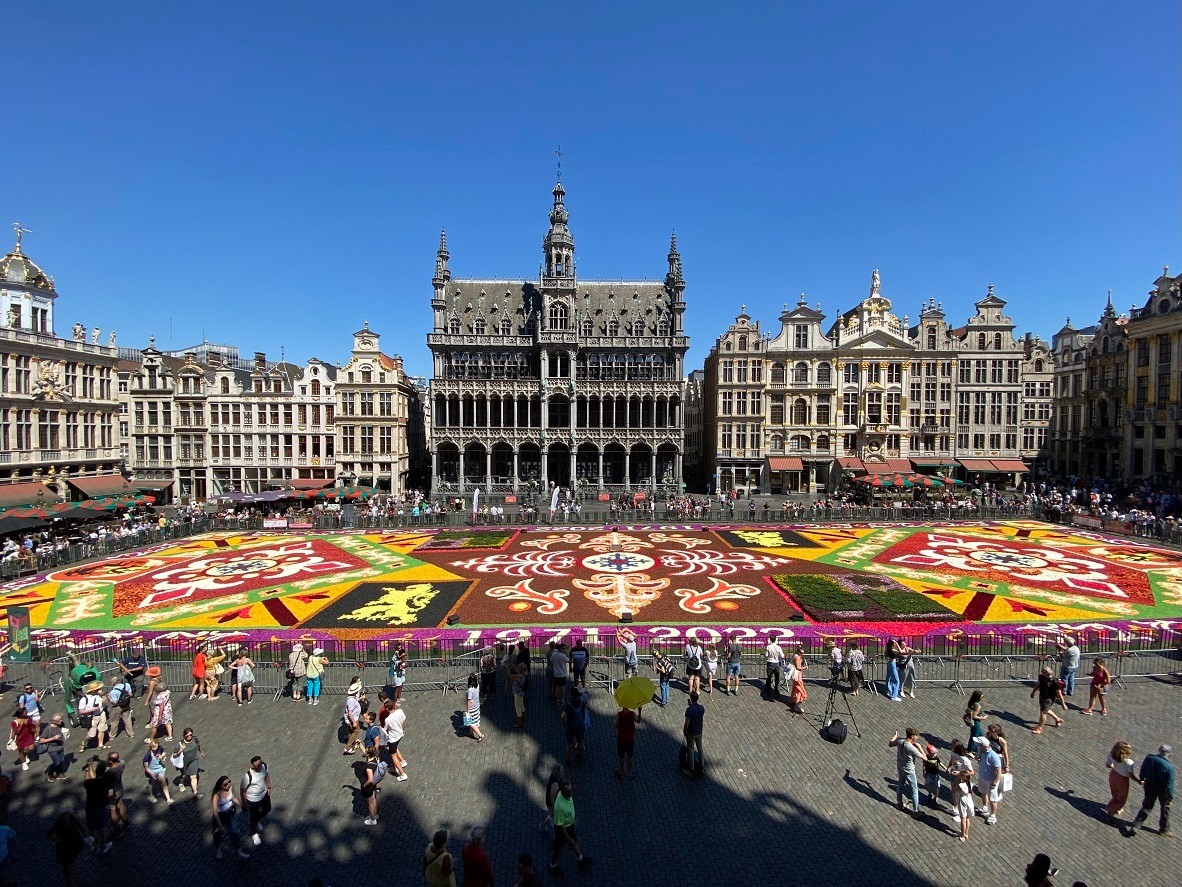 2025年開催の大阪・関西万博へ続く花の絨毯 「Osaka Flower Carpet