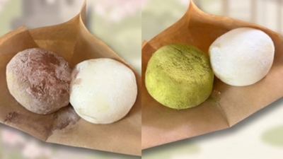 餅アイス（あずき、抹茶）