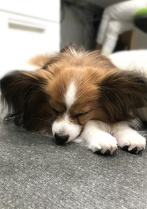 ipBtpCX0aMFI4mZmQnex.jpg?w=940&h=940