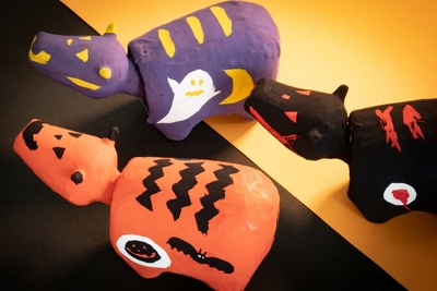 ipJsIi1UgIUPui6MjGiS.jpg?w=940&h=940