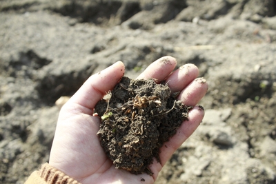 ipU6qDMkovD4c7zwX9n0.JPG?w=940&h=940