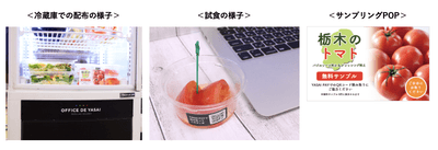 iqql1dCzMe47nk9ucJot.png?w=940&h=940