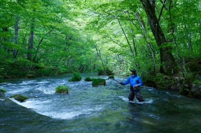 isTwE1RwSxszeLQqfIqc.jpg?w=940&h=940