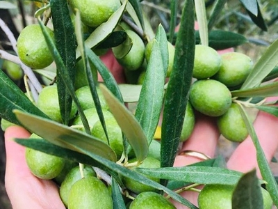 isgKkxI5GTlfcTKSZ127.jpg?w=940&h=940