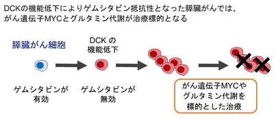 膵臓がんの薬が効かなくなるメカニズムを解明　治療が困難となった膵臓がんに対する新たな治療法開発へ