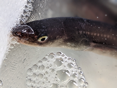 itsNt1M7dvtrgRl5fG9G.jpg?w=940&h=940