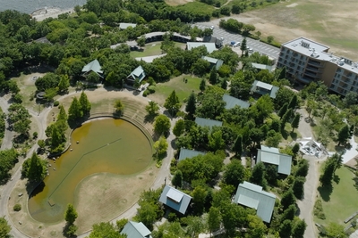 iu9oWwy08VmejPlEOXV6.jpg?w=940&h=940