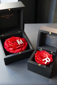 iuA4k2AYJWqAQVMPpUrE.jpg?w=940&h=940