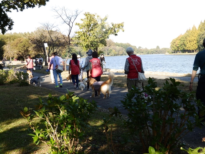 パックウォーク(昨年度の様子)