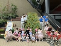 今年も大階段のひまわりと思い出の一枚!