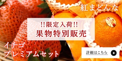 iuMMj6D78nhtg6WEK1C3.jpg?w=940&h=940