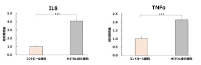 ivwHAUHVn1Gq8eZXizXH.jpg?w=940&h=940