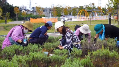 iwfikh1AKKJp7f4KLI0U.JPG?w=940&h=940