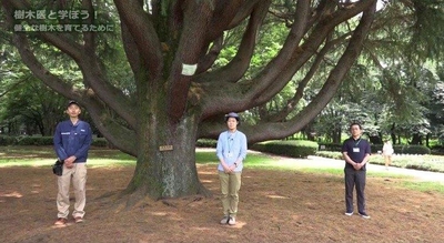 iymKGszyulUDacoVcUPr.jpg?w=940&h=940