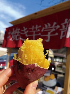 izh6oYUqFd5PEVgBwEMV.jpg?w=940&h=940