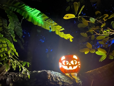 j0KaOLcKGVxcvDpzWQxU.jpg?w=940&h=940