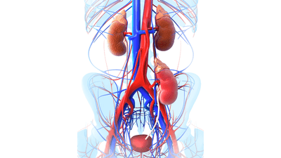 j0gGvXPLRdrBam9VVM3M.png?w=940&h=940