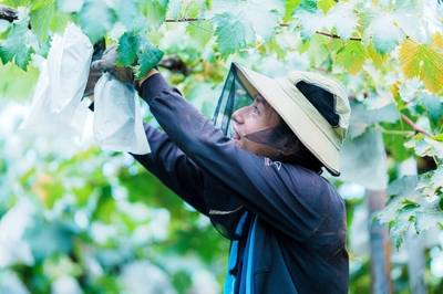 j0vI4RPOnTgRGjdf53H9.jpg?w=940&h=940