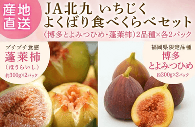 いちじくよくばり食べくらべセット（博多とよみつひめ・蓬莱柿）