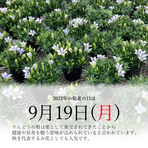 j18D82pgdaKdEatz4a6D.jpg?w=940&h=940