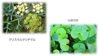 j4MpLQkCw7g0ycFFRXn7.jpg?w=940&h=940