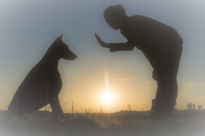 j4zVrxcpxUMXbm0Sh7I1.jpeg?w=940&h=940